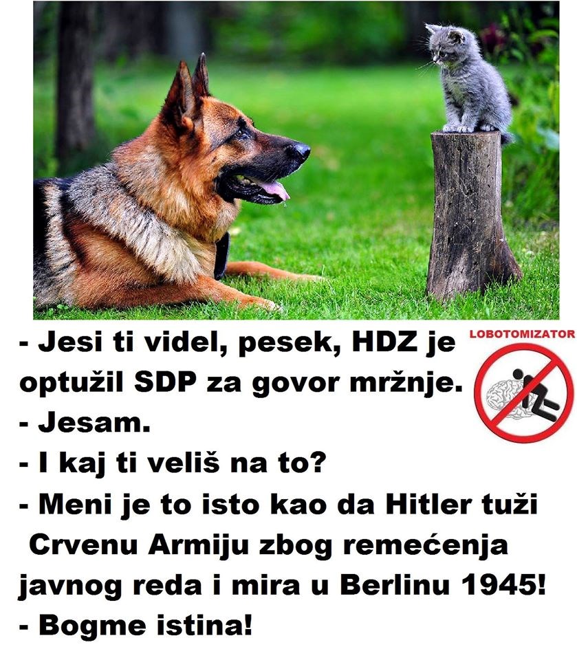isto, dakle, jednako..
