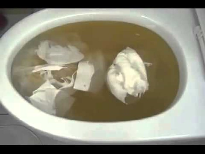 VIDEO Južna Koreja je svjetski prvak u odštopavanju WC školjki, pogledajte njihov genijalni izum!
