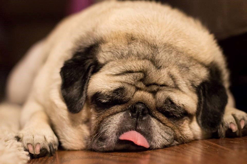 Ne vjeruje u dane u tjednu, svaki dan je nedjelja