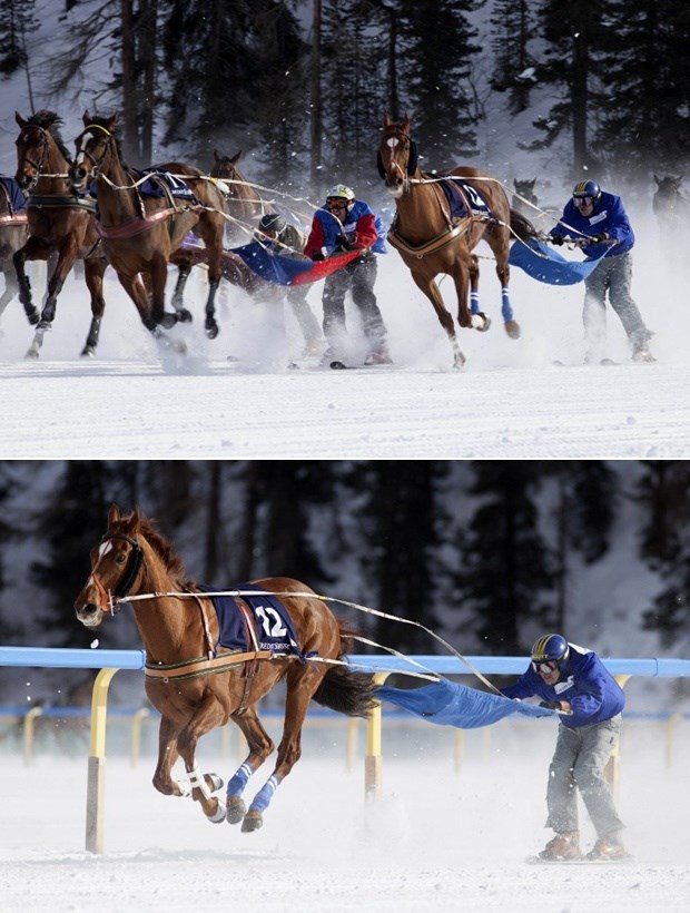 Skijaška utrka s konjima