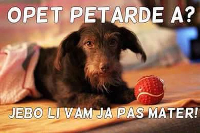 Eto, pas je govorio