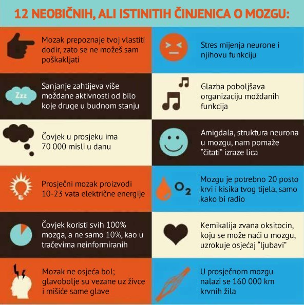 "Ljubav" je kemikalija: Otkrij tajne mozga