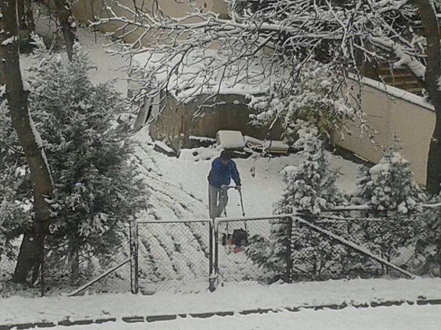 Ni snijeg mu ne smeta