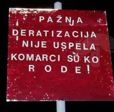 Deratizacija neuspjela - komarci su ko rode!