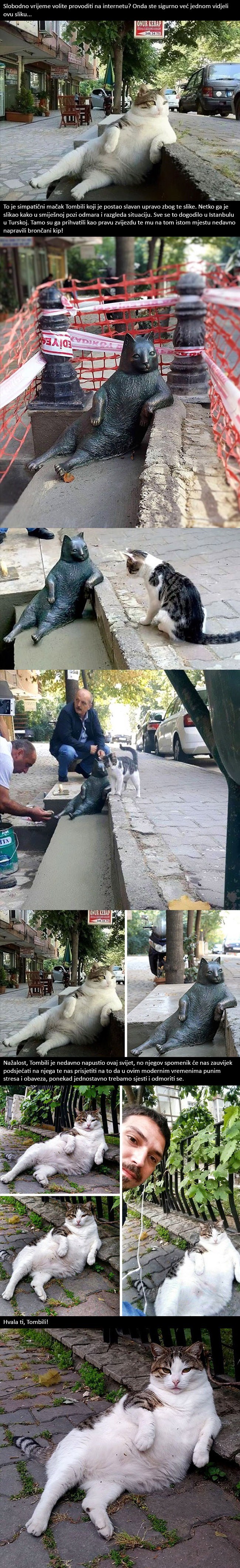 Legendarni mačak koji je postao poznat na internetu, dobio je vlastiti kip