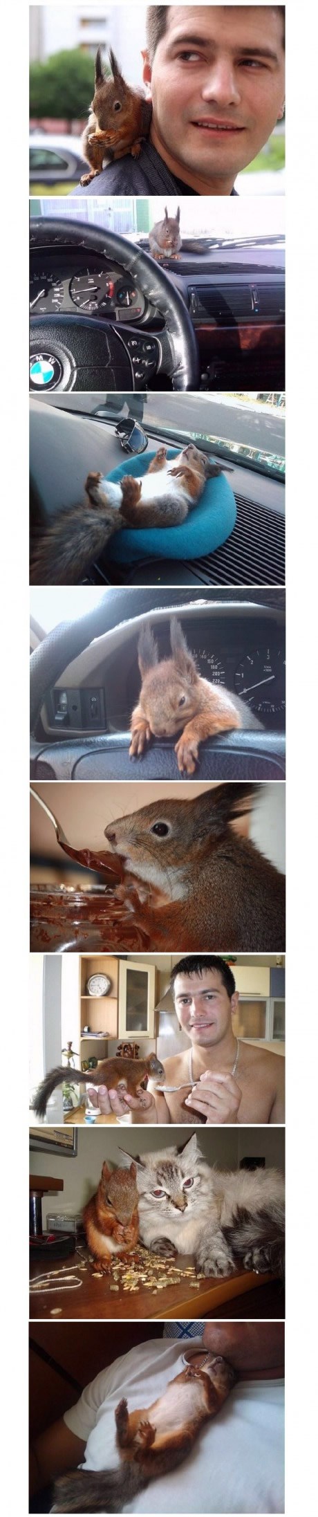 Dobri vojnik spasio majušnu vjevericu i dobio naj frenda