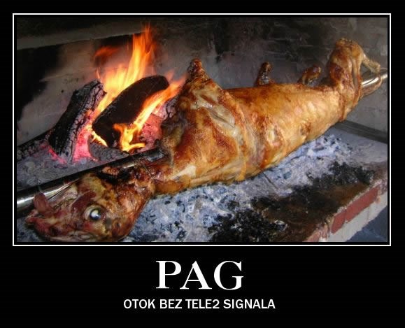 Gregore moj, prvo repetitor, onda u goste..