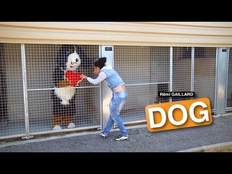 VIDEO: Rémi Gaillard opet maltretira do ludila i batina!