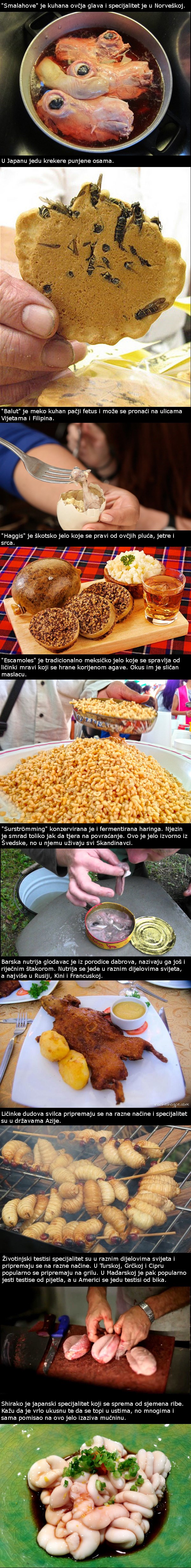 10 najbizarnijih jela svijeta koja vjerojatno nikada ne biste probali!