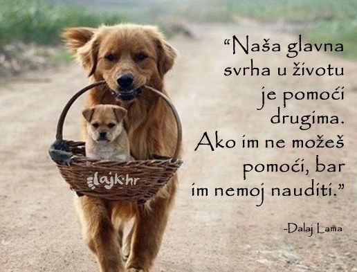 Ima li jednostavnije upute kako biti normalno biće?