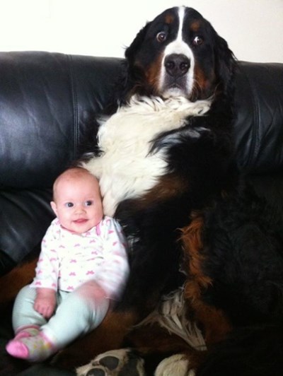 Ajme majko, što ću ja sad s ovim, pa nisam dadilja!?