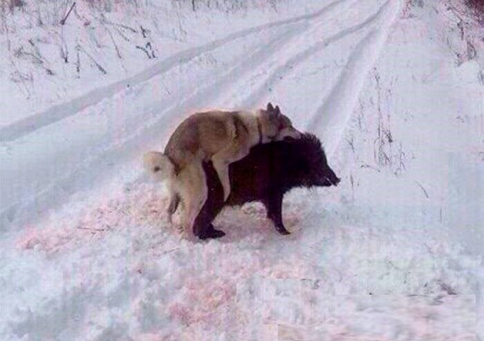 Samo da se malo ugrije :)