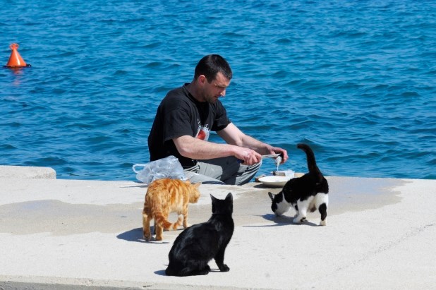 Mace znaju kad je vrijeme za ručak