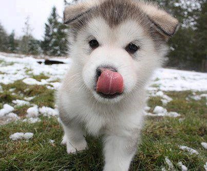 Mljac, gazda, izgledaš mi tak fino da te popapam