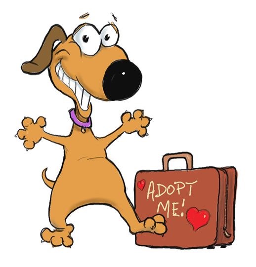 Udomi peseka: Stiže gadna zima i hladno im je, pomozi!