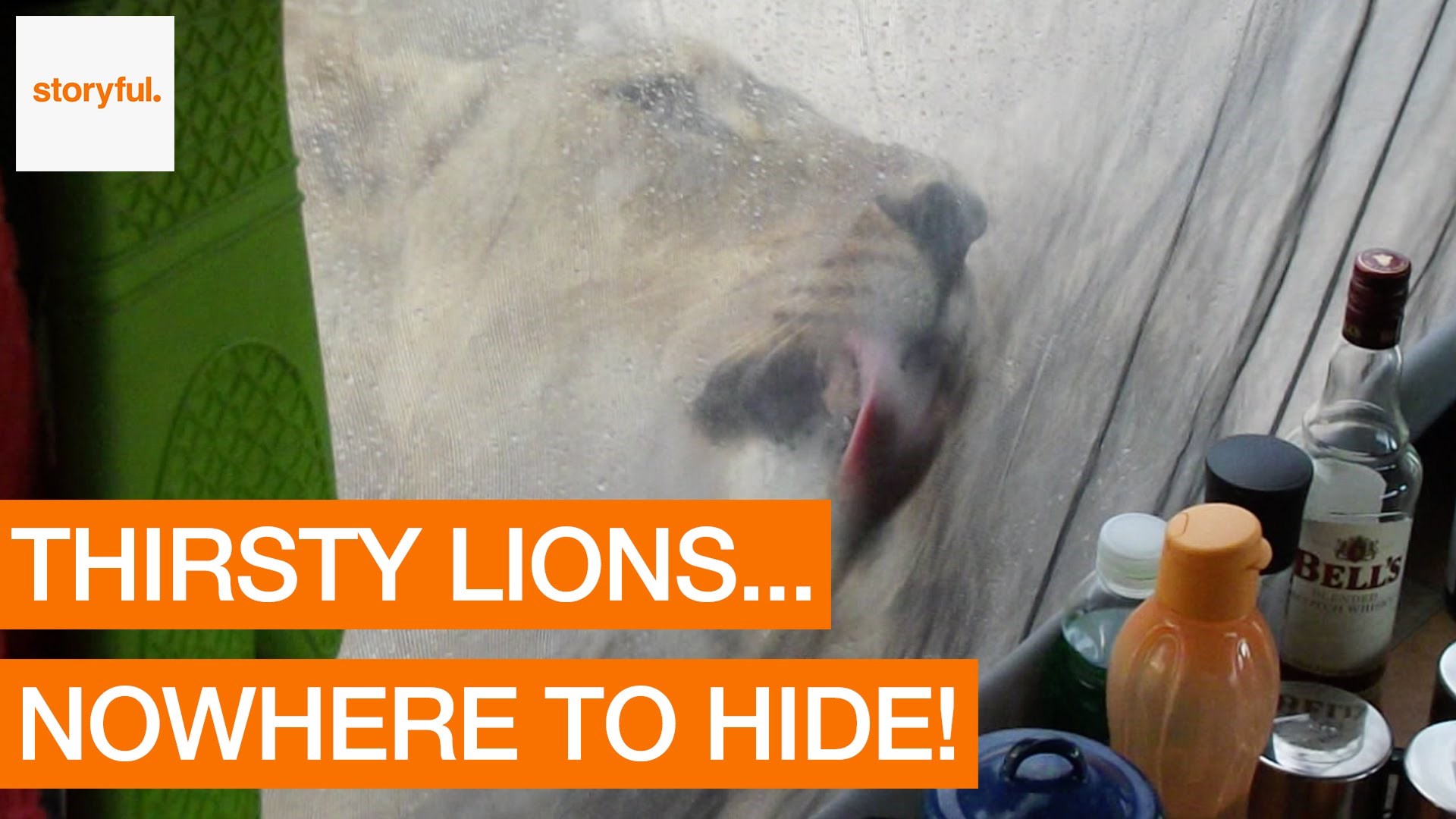 Kamperi se probudili pola metra od sigurne smrti, snimili zvijeri!