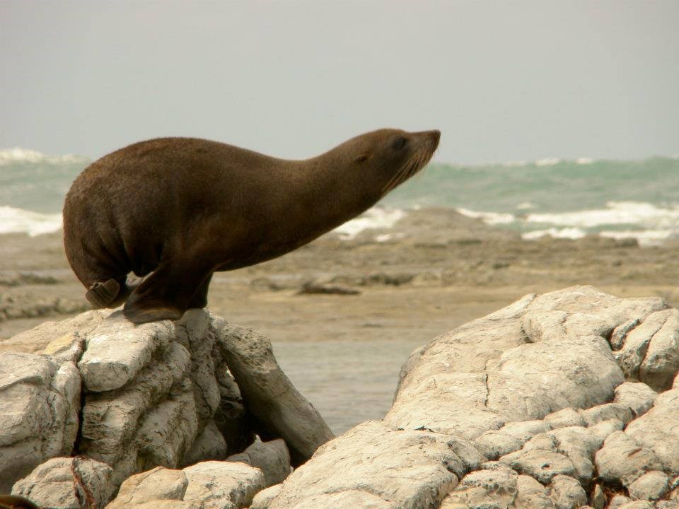 Vrijeme je za jutarnju tjelovježbu: Ajmo, istezanje!