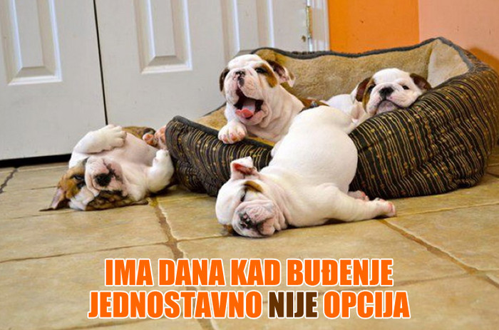 Nema šanse