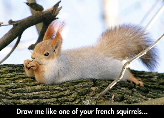 Umišljena vjeverica dobila posao modela