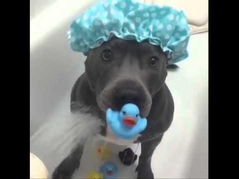 VIDEO: Stafić Ramsay obožava svoja kupanja, ali mora imati dudu