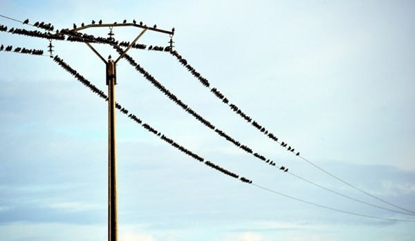 Wi-Fi im uvode tek dogodine...