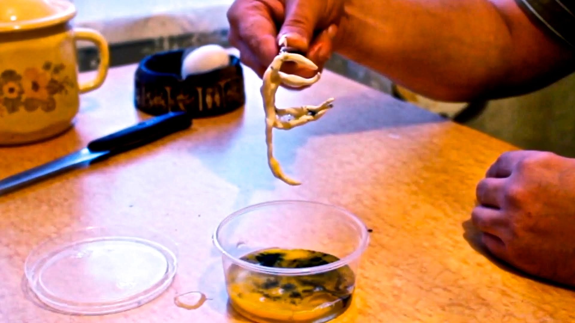 Ubrizgao je spermu u kokošje jaje, a ono što se rodilo iz njega začudilo je sve!