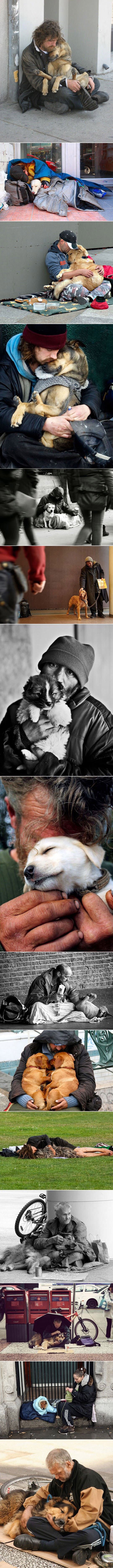 BEZUVJETNA LJUBAV: Evo zbog čega su psi čovjekov najbolji prijatelj