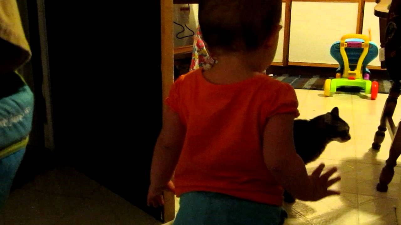 Ozbiljni razgovori s macom: Dokaz da mala djeca znaju pričati sa životinjama!