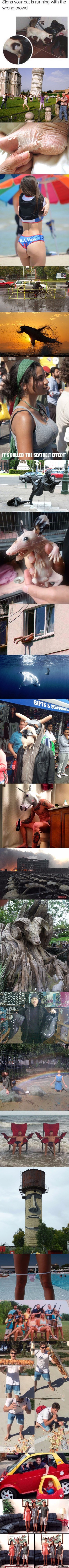 GALERIJA: Sve ove slike su postale poznate zbog nekog razloga