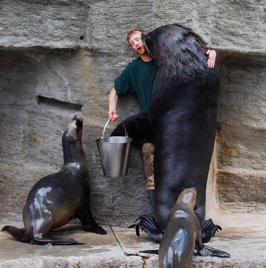 Odsad nosiš duplo više ribe, jel jasno? JASNO!?