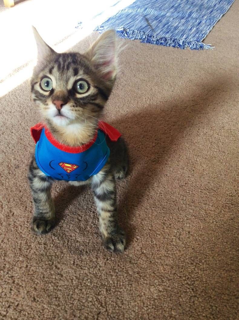 Supermenčić spreman spasiti svijet