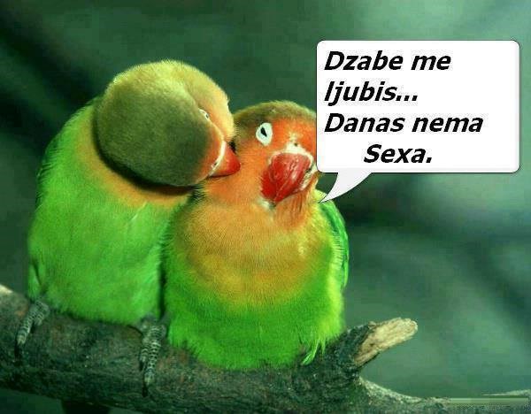 Tko zapravo vlada svijetom?