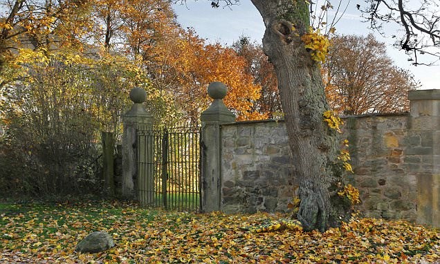 Većina ljudi ne može vidjeti ženu na ovoj fotografiji, vidite li je vi?