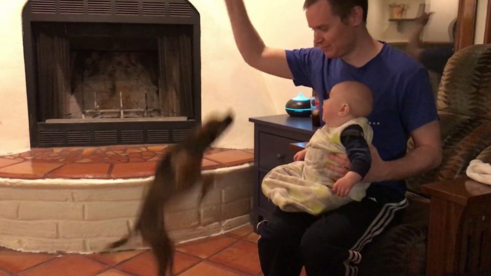 VIDEO Beba se nije mogla prestati smijati kad je vidjela što zaigrani pas radi!