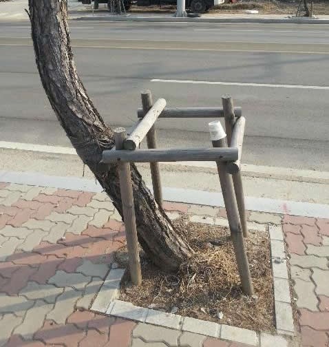 Vidim glupe ljude, svuda su oko nas!