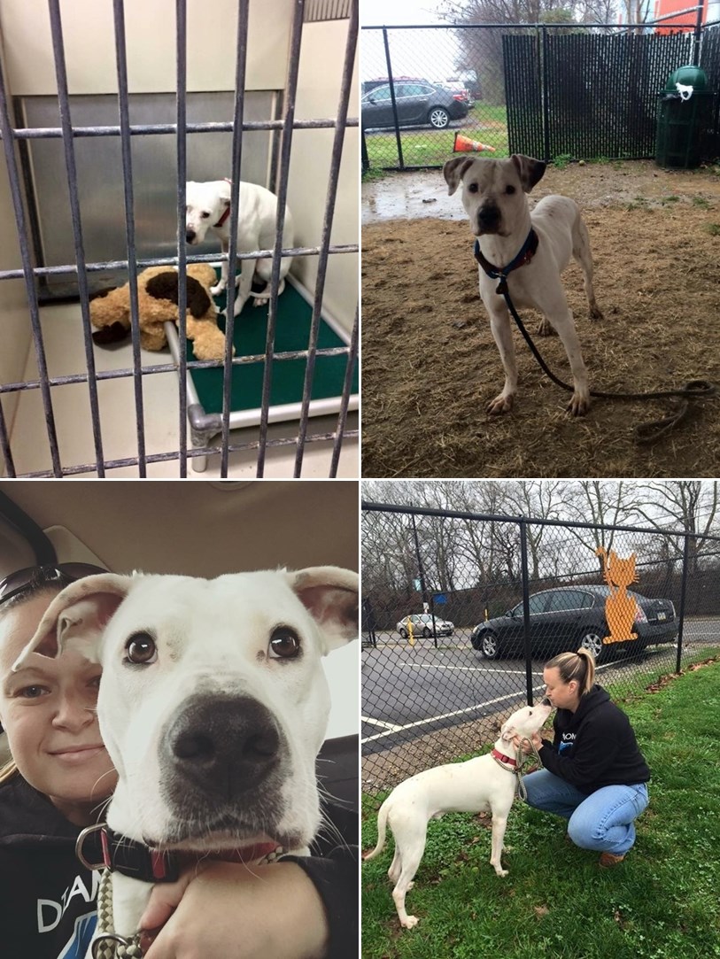 Šutnuli ga na ulicu, a onda mu oduzeli i omiljenog medvjedića, ali sudbina mu je podarila nešto prelijepo