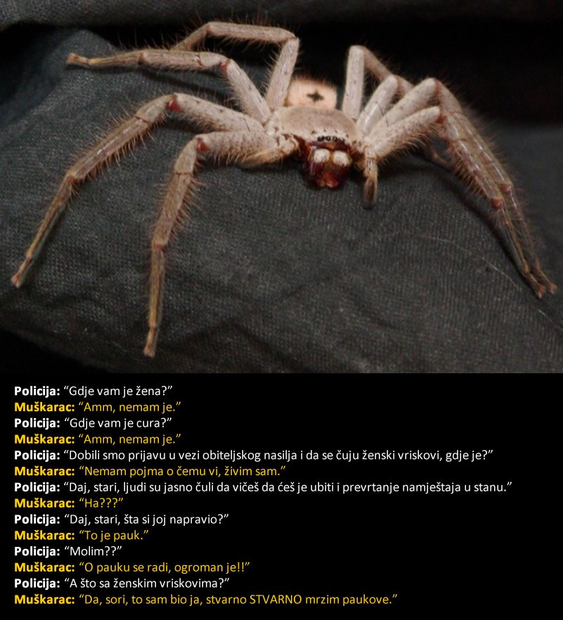 DIVOVSKI PAUK muškarca pretvorio u ženu