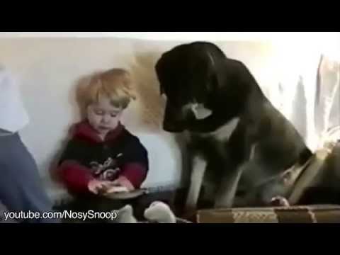 Lopovi kojima je sve oprošteno