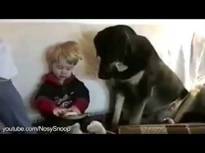 Lopovi kojima je sve oprošteno