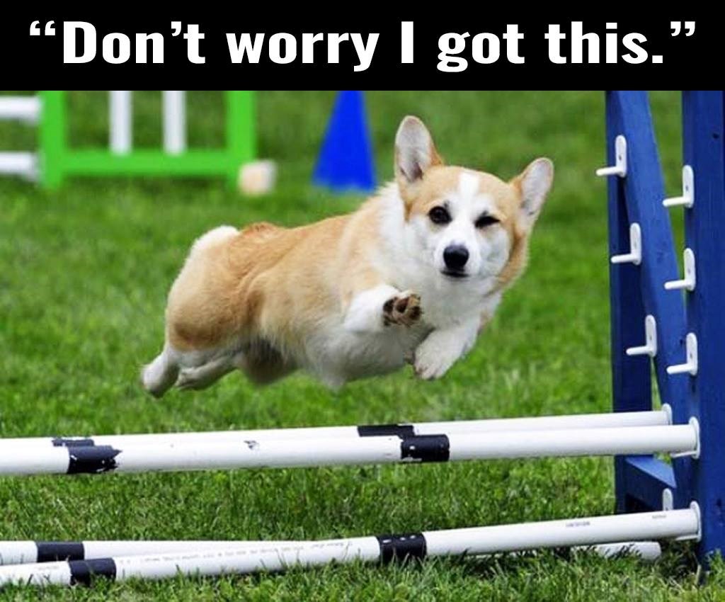 Nikad ne sumnjaj u ljubimca svoga