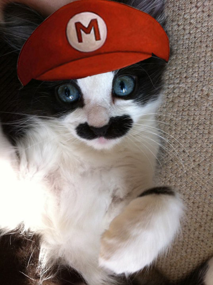 Super Mario spreman za akciju