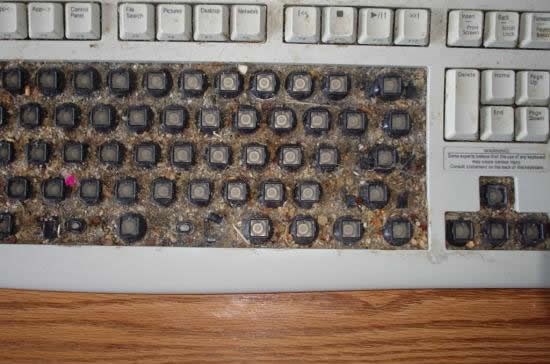 Što se nakupi u tipkovnici u 20 godina