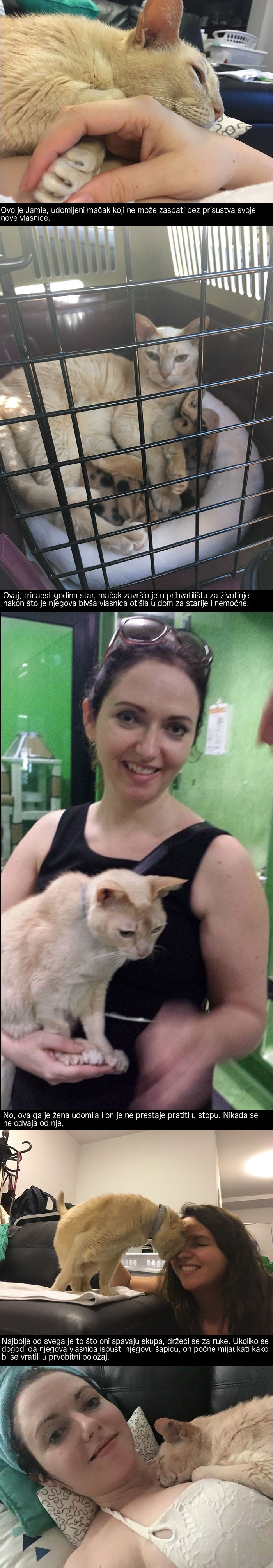 Trinaest godina star mačak ne može zaspati bez svoje nove vlasnice