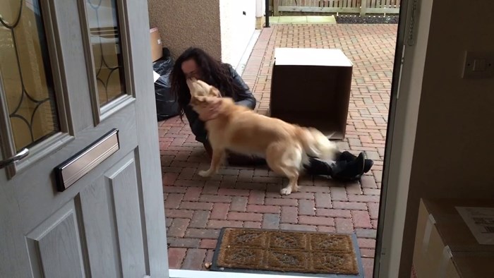 VIDEO Pas nije prestajao lajati kad je vidio veliku kartonsku kutiju, nanjušio je jedno veliko iznenađenje!