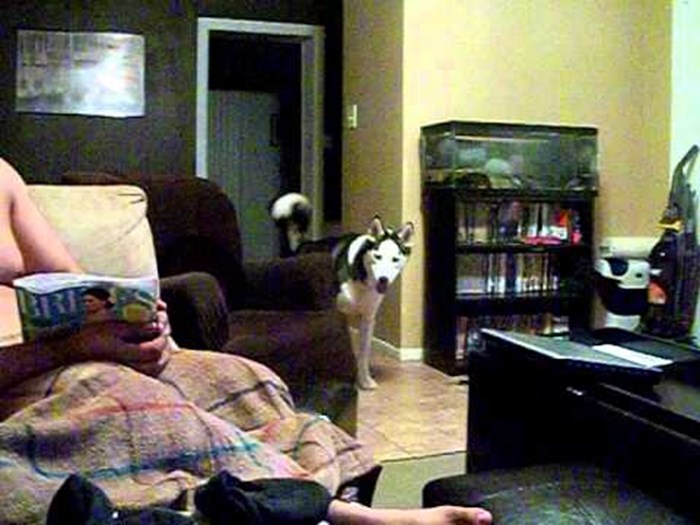 VIDEO: Pas se plaši slike poznate glumice!