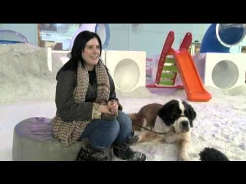 VIDEO: Posljednja igra u snijegu prije odlaska iza duge