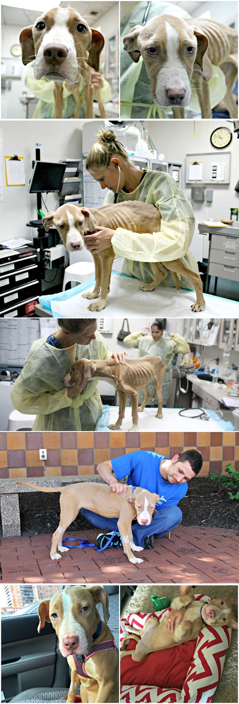 GALERIJA: Samo malo ljubavi je bilo dovoljno za čudo