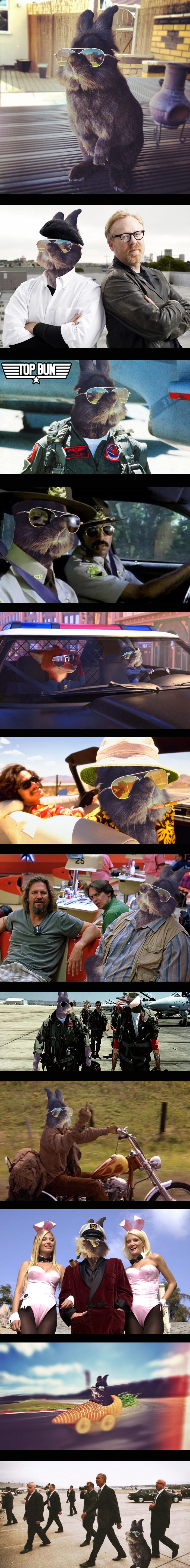 Photoshop čarolija: Zeko postao inspiracija internetu