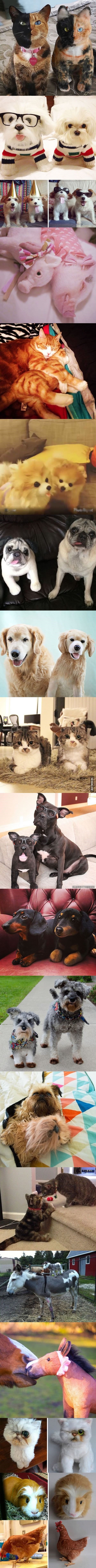 Galerija: Tvrtka proizvodi vjerne plišane replike vaših ljubimaca