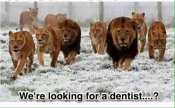 Tražimo jednog zubara, jel ga tko vidio?